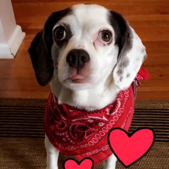 Meet your Posher, Lynn - Picture 1 of 1